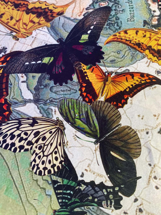 Butterfly Print ITY Stretch Jersey Fabric (Orange/Green/Black) - 60" Wide, £3.99 per Metre