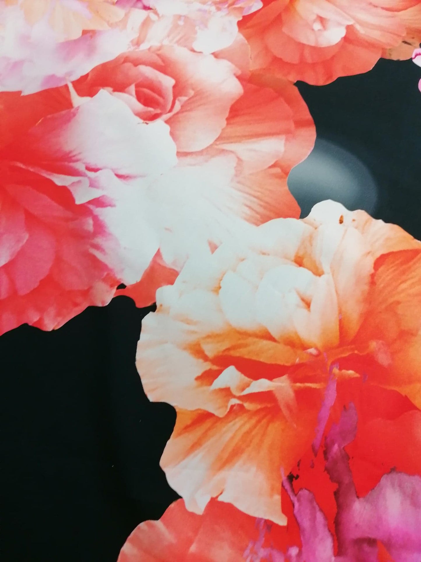 Cotton - Floral - Pink/Orange/Black/Peach - 62" Wide - Sold By the Metre