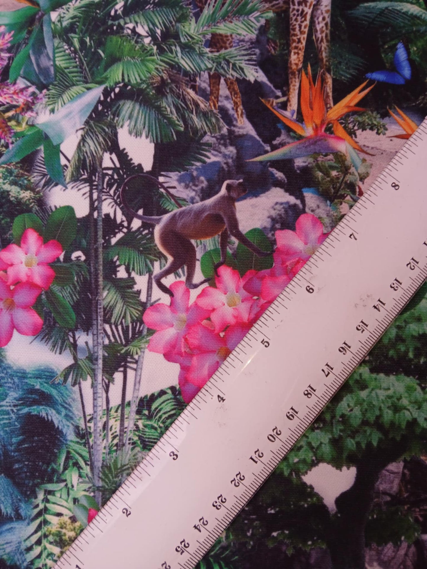 Scuba - Jungle - Multicoloured - 60" Wide - Sold By The Metre