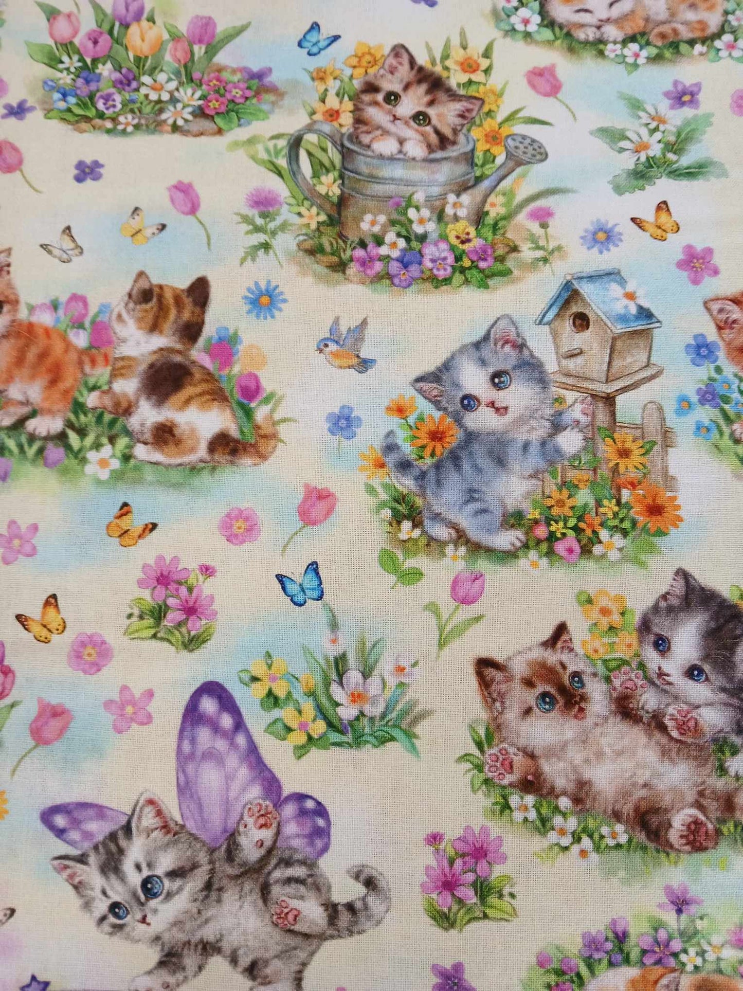 100% Cotton - Kittens - Yellow/Blue/Purple/Brown/Green - 44" Wide - Sold By The Metre