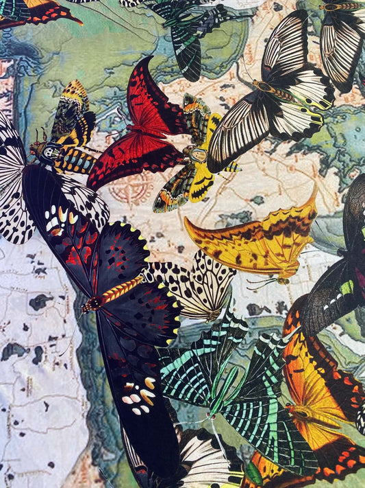 Butterfly Print ITY Stretch Jersey Fabric (Orange/Green/Black) - 60" Wide, £3.99 per Metre