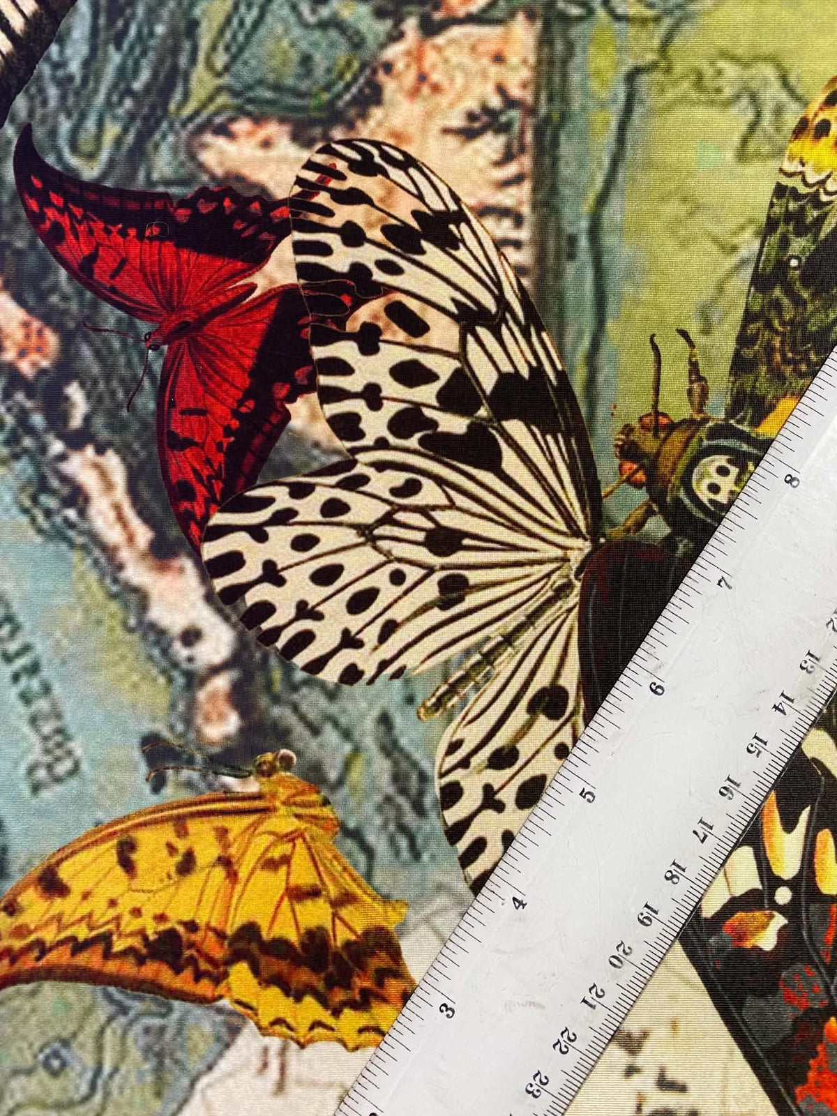 Butterfly Print ITY Stretch Jersey Fabric (Orange/Green/Black) - 60" Wide, £3.99 per Metre