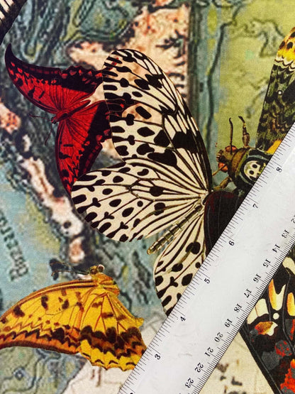 Butterfly Print ITY Stretch Jersey Fabric (Orange/Green/Black) - 60" Wide, £3.99 per Metre