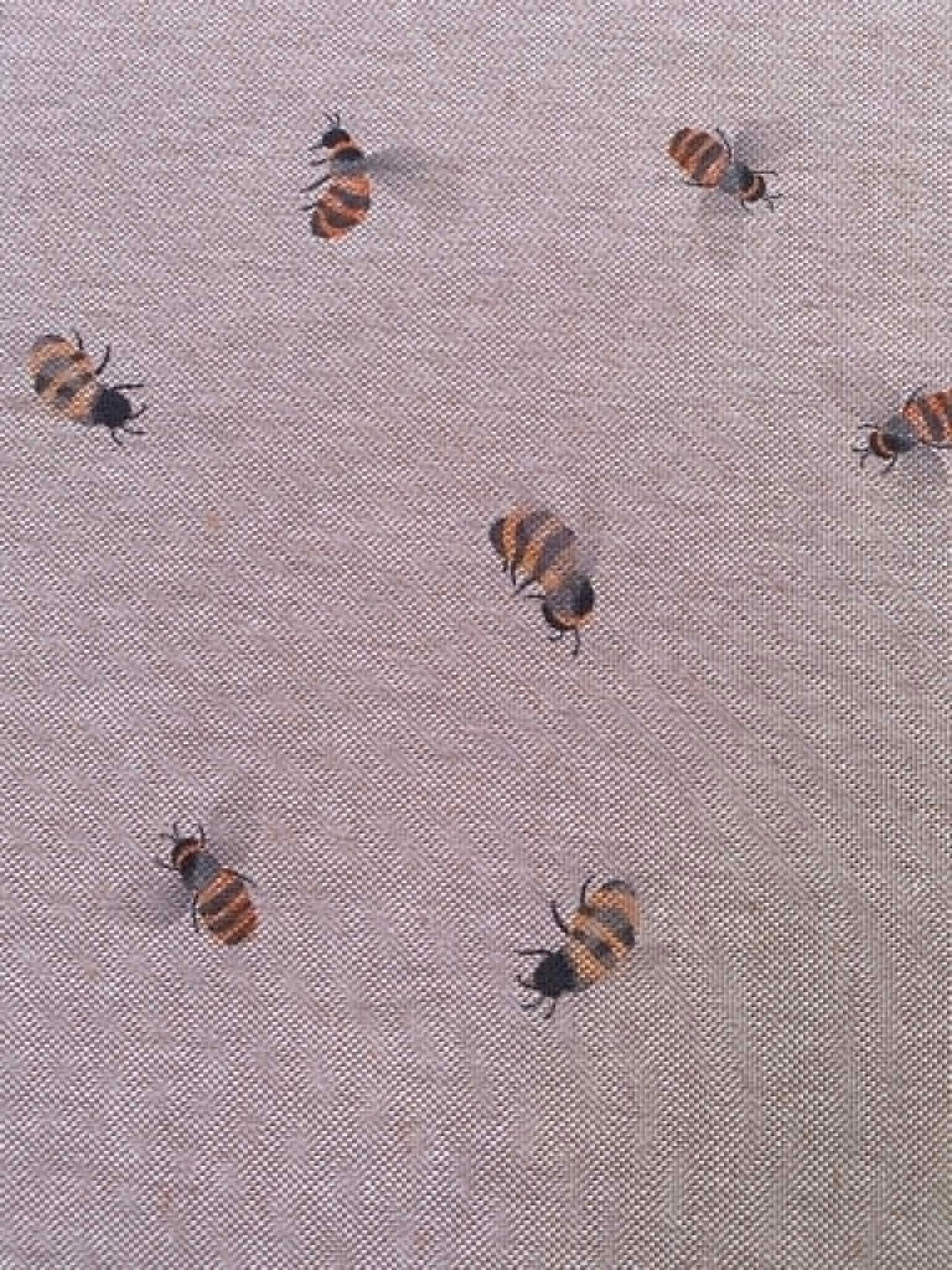 Bumblebee Linen Look Digital Canvas Fabric - 59" Wide - Natural Beige Medium Weight Upholstery & Craft Fabric No Stretch - £9.99/m